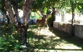 Appartamenti De Sanctis